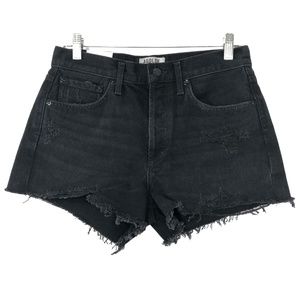 Agolde Parker Vintage Cut Off Shorts Denim